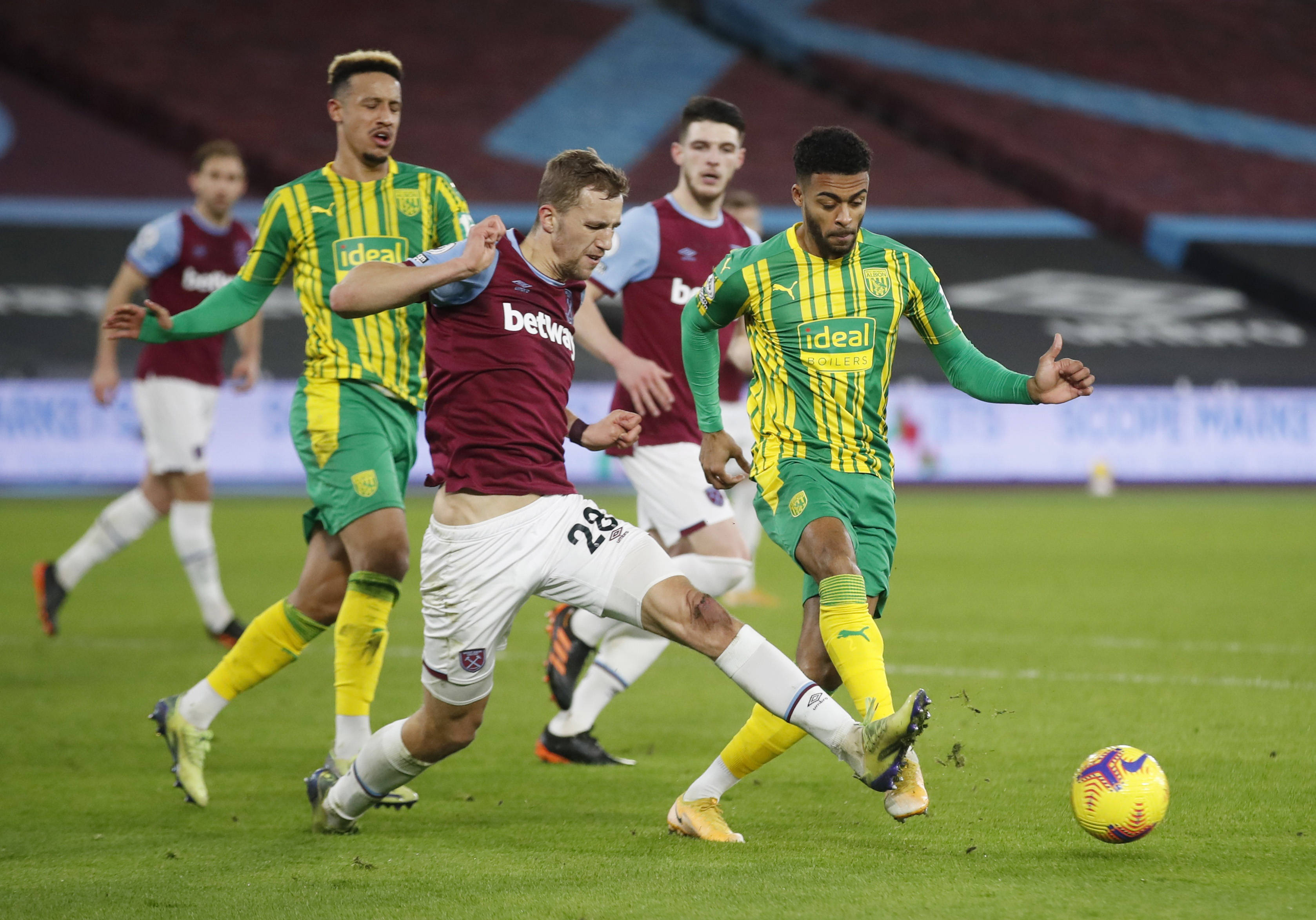 其他野生动 其他野生动